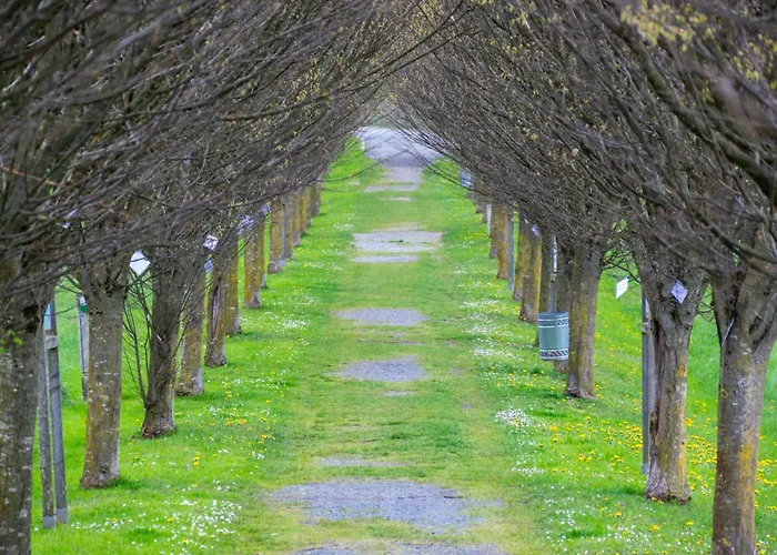 Am Freibad شقة ليوتسشاخ
